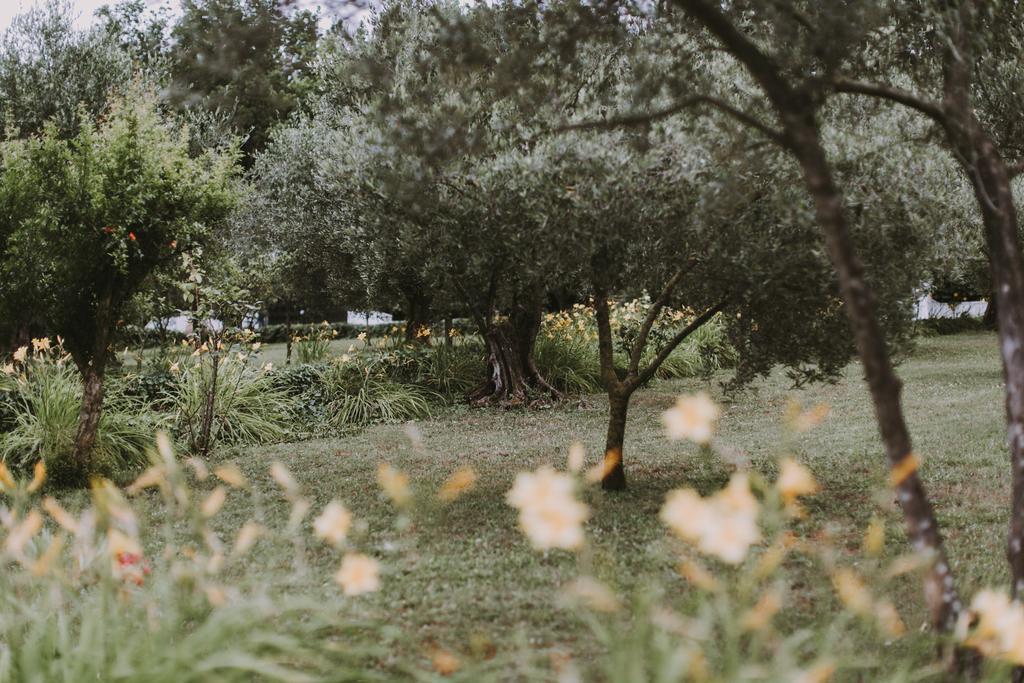Il Pettirosso B&B Ґроттаферрата Екстер'єр фото